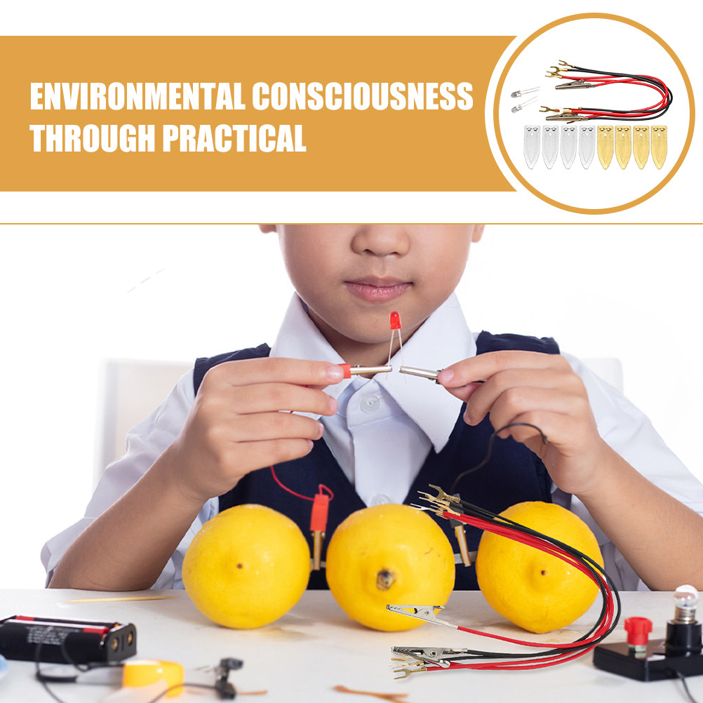 과일 배터리 과학 실험 키트, 어린이용 재생 에너지 키 - Renewable Energy For Kids 리뷰 및 가격